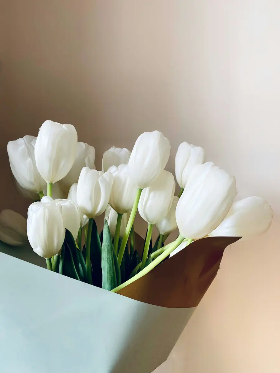Bos witte tulpen in een papieren zak